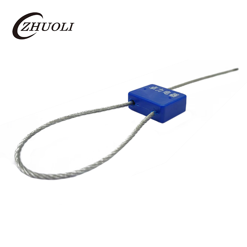 Abs Steel Cable Seal