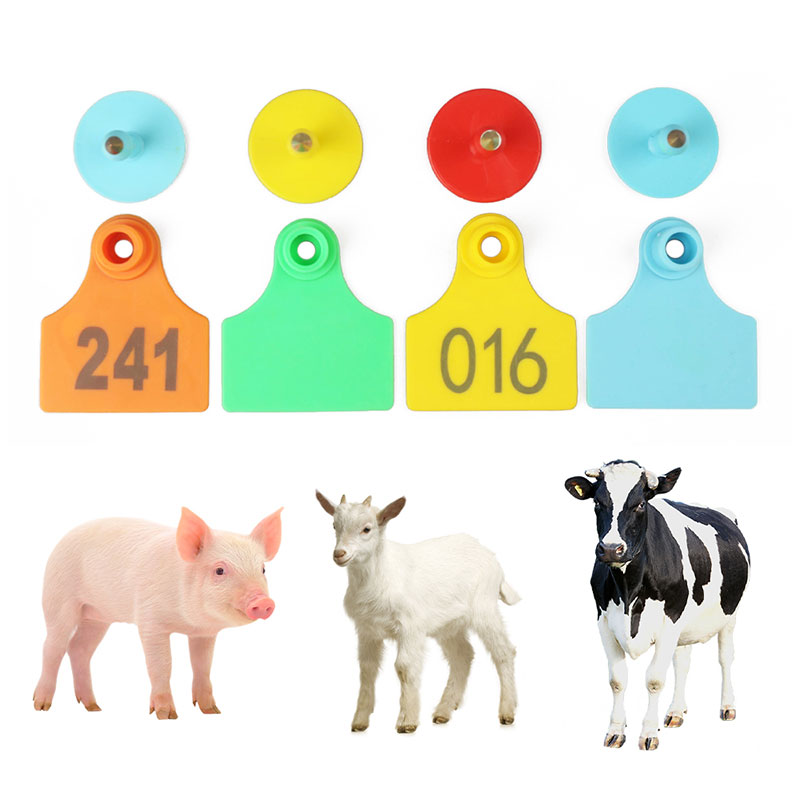 animal ear tags animal ear tags