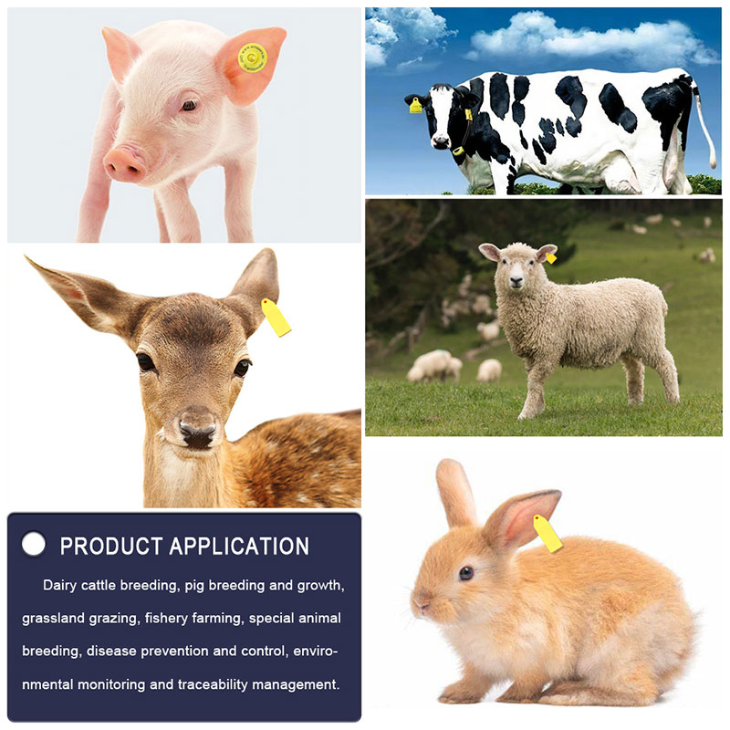 Animal ear tags Advantage Animal ear tags Advantage