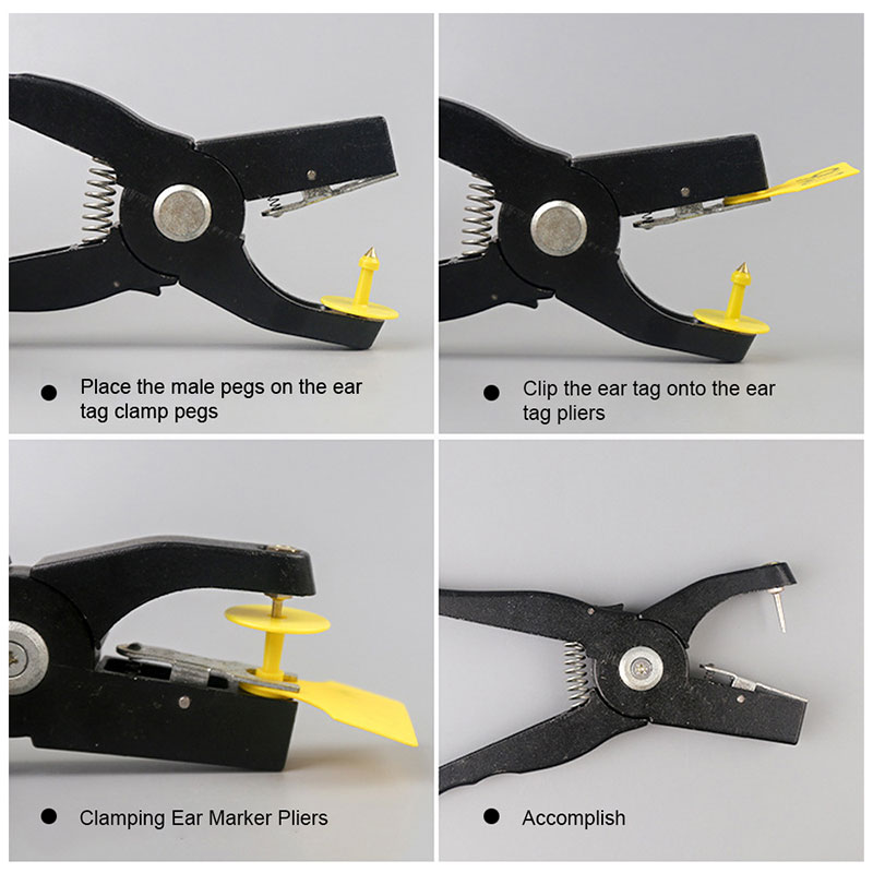 Animal ear tags Applications Animal ear tags Applications